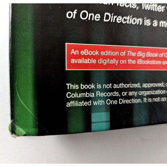 ONE DIRECTION Pop Boy Band The Big Book Mary Boone 2012 Hardcover Unread VGC! - Picture 7 of 10
